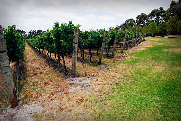 31130518 1623414388 1912 istockphoto 172692467 612x612 1