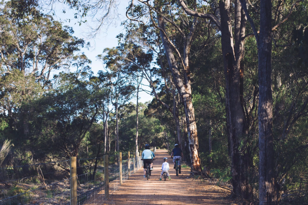 69065378 1691239766 8395 Wadandi Track 28.08.2015 Photo Elements Margaret River 12 scaled 1