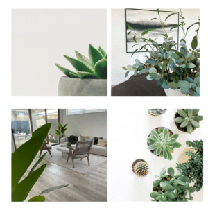 Tips To Make Your House Look More Expensive Untitled design 5 1 5 Untitled design 5 1